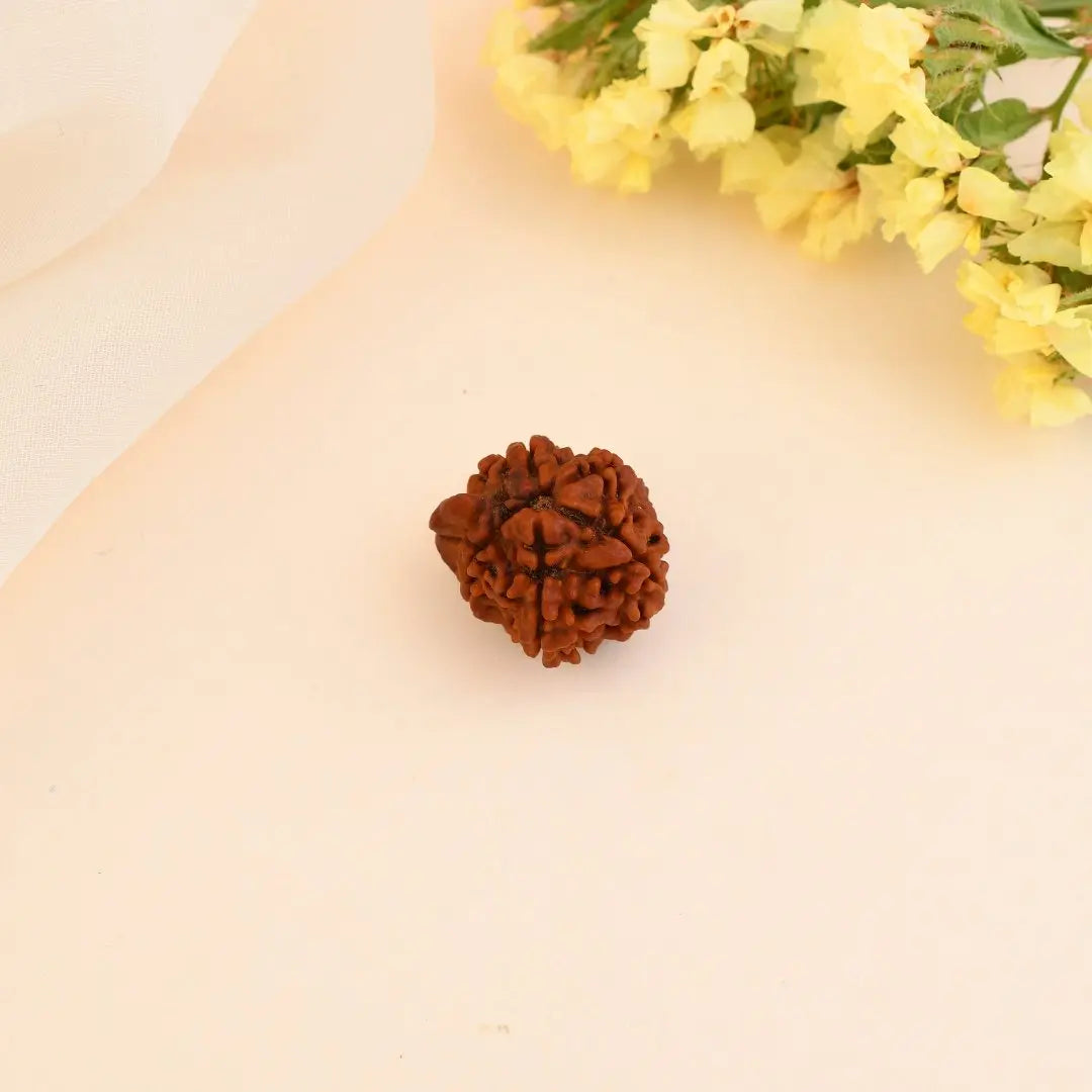 Ganesha Rudraksha - WorldOfOorja