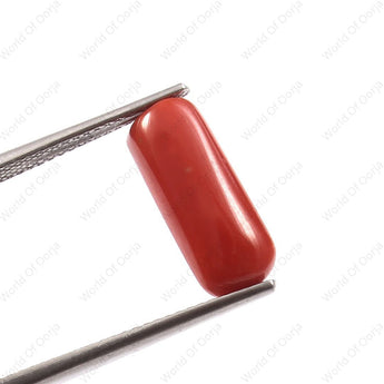 Certified Natural Red Coral Moonga gemstone 4.16 Carat 4.56 Ratti polished oval