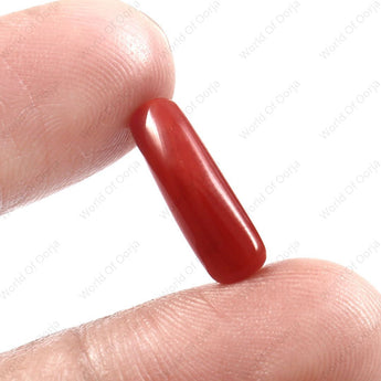 World of Oorja certified Red Coral Moonga stone 4.58 Carat 5.02 Ratti 