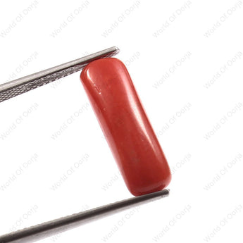Astrological Red Coral Moonga (4.15 Carat, 4.55 Ratti)