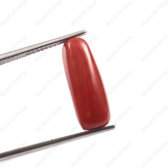 Natural Red Coral Moonga 4.28 Carat 4.69 Ratti by World of Oorja