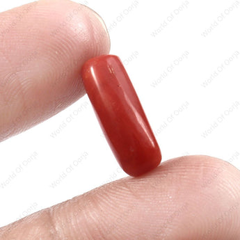World of Oorja certified Red Coral gemstone Moonga 4.28 Carat 4.69 Ratti