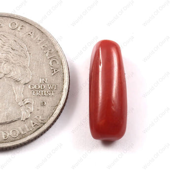 Red Coral (moonga) (4.28 Carat, 4.69 Ratti)