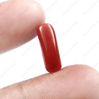 World of Oorja certified Red Coral gemstone Moonga 5.96 Carat 6.54 Ratti
