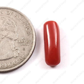 World of Oorja Red Coral Moonga gemstone 5.96 Carat 6.54 Ratti