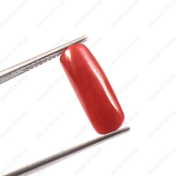 Buy certified Red Coral (Moonga) gemstone