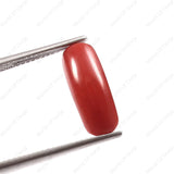 Natural Red Coral Moonga stone 3.91 Carat 4.29 Ratti