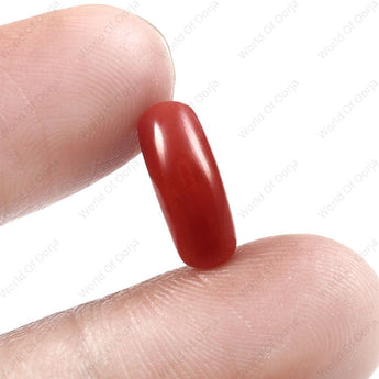 Certified Red Coral Moonga gemstone 3.91 Carat 4.29 Ratti from World of Oorja
