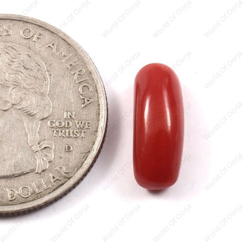 World of Oorja Red Coral Moonga 3.91 Carat 4.29 Ratti natural gemstone