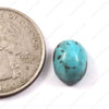 Turquoise (Firoza) (3.34 Carat, 3.66 Ratti)