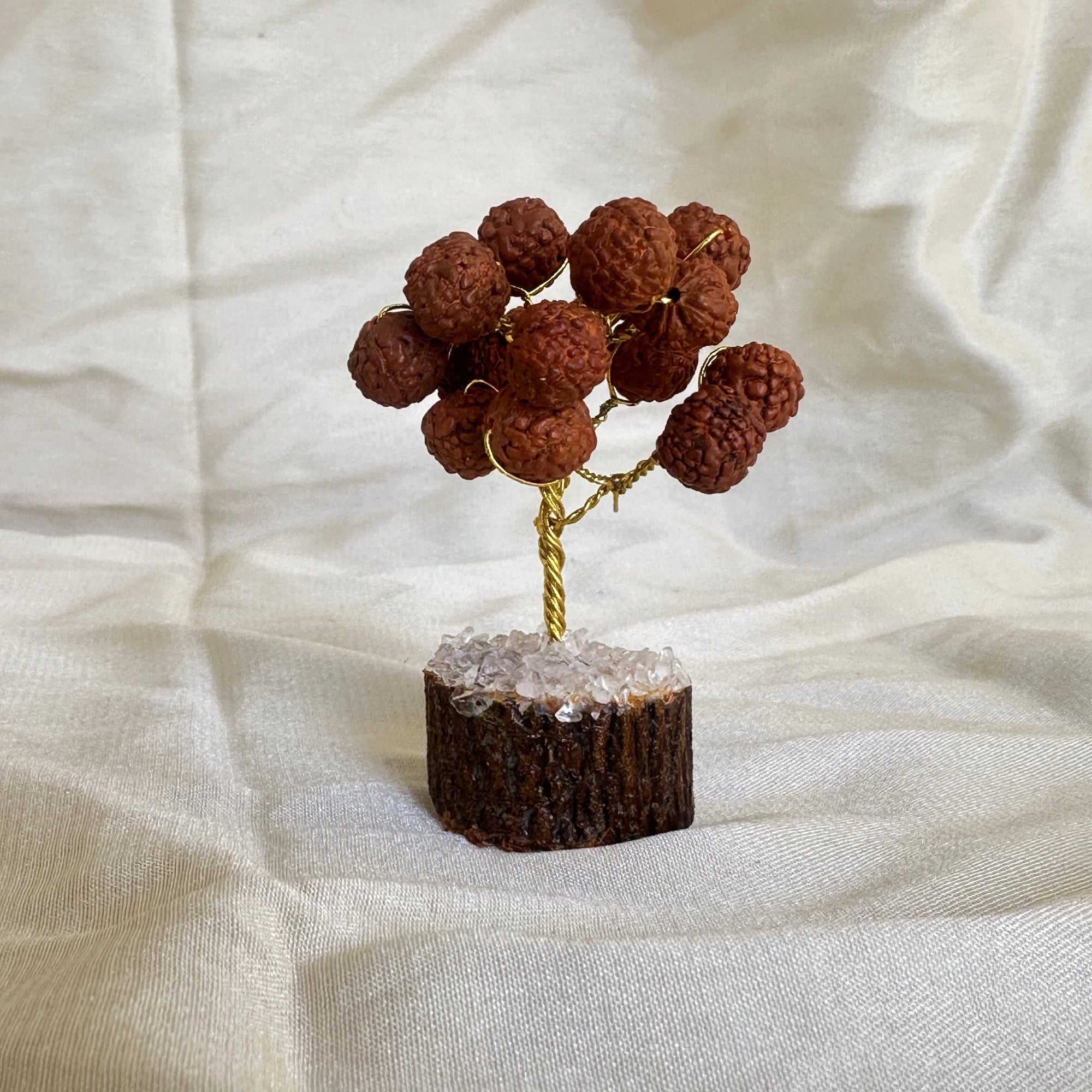 Sacred Rudraksha Tree with Clear Quartz Base