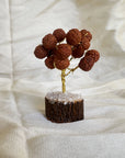 Sacred Rudraksha Tree with Clear Quartz Base