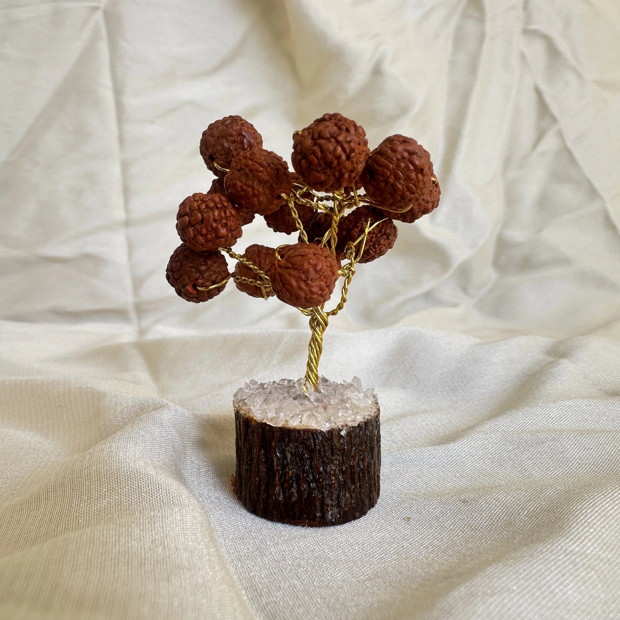 Sacred Rudraksha Tree with Clear Quartz Base