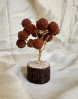 Sacred Rudraksha Tree with Clear Quartz Base