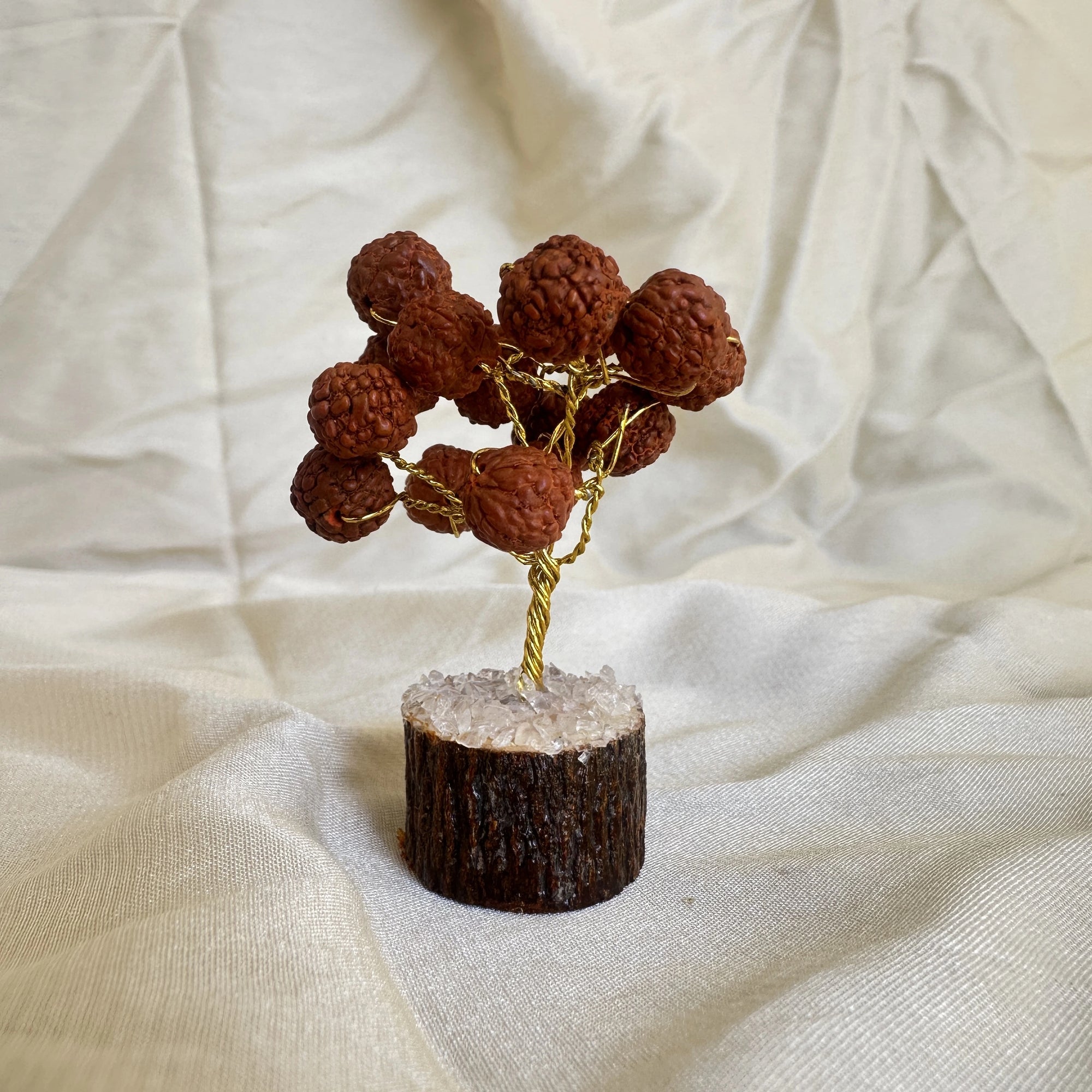 Sacred Rudraksha Tree with Clear Quartz Base