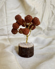 Sacred Rudraksha Tree with Clear Quartz Base