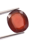 Garnet (Hessonite) (6.65 Carat, 7.29 Ratti)