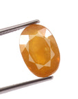 Yellow Sapphire (Pukhraj) (7.20 Carat, 7.90 Ratti)