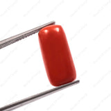 Premium quality moonga gemstone (9.10 Carat, 9.98 Ratti)