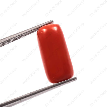 Premium quality moonga gemstone (9.10 Carat, 9.98 Ratti)