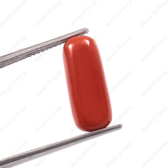 Certified Moonga gemstone 6.05 carat, 6.63 ratti for Mars planet (Mangal)