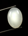 Moonstone (Chandrakant) (6.95 Carat, 7.62 Ratti)