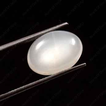 Premium quality Moonstone Chandrakant 6.95 Carat, 7.62 Ratti