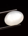 Moonstone (Chandrakant) (6.15 Carat, 6.74 Ratti)