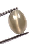 Cats Eye (Lehsunia) (8.20 Carat, 8.99 Ratti)