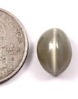 Cats Eye (Lehsunia) (8.20 Carat, 8.99 Ratti)