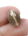 Cats Eye (Lehsunia) (8.20 Carat, 8.99 Ratti)