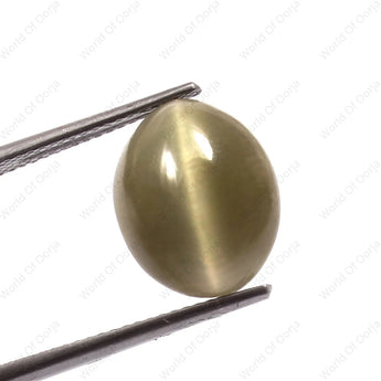 Premium quality Lehsunia Cat’s Eye 8.25 Carat, 9.05 Ratti