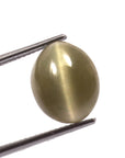 Cats Eye (Lehsunia) (8.25 Carat, 9.05 Ratti)