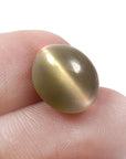 Cats Eye (Lehsunia) (8.25 Carat, 9.05 Ratti)