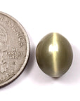 Cats Eye (Lehsunia) (8.25 Carat, 9.05 Ratti)