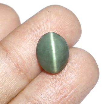 Premium Cats Eye (Lehsunia) gemstone 6.80 carat with lab certificate