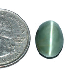 Cats Eye (Lehsunia) (7.90 Carat, 8.61 Ratti)