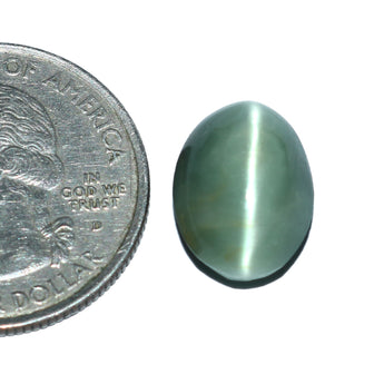 Cats Eye (Lehsunia) (7.90 Carat, 8.61 Ratti)