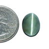 Cats Eye (Lehsunia) (7.90 Carat, 8.61 Ratti)