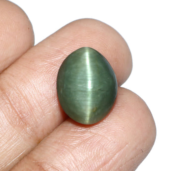 World of Oorja natural Cats Eye Lehsunia 8.82 Carat gemstone