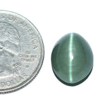 Cats Eye (Lehsunia) (9.36 Carat, 10.2 Ratti)