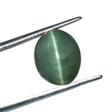 Oval cut Cats Eye Lehsunia 6.17 carat gemstone
