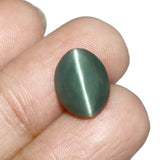 World of Oorja certified Cats Eye Lehsunia 7.69 Carat gemstone for astrology