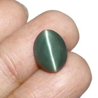 World of Oorja certified Cats Eye Lehsunia 7.69 Carat gemstone for astrology