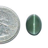 Natural Cats Eye (Lehsunia) gemstone, 5.72 Carat with 6.23 Ratti weight