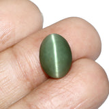 Lehsunia Cats Eye stone, oval cabochon, 5.72 Carat weight, premium quality for spiritual and healing use