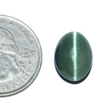 Cats Eye (Lehsunia) (8.82 Carat, 9.61 Ratti)