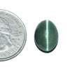 Cats Eye (Lehsunia) (8.82 Carat, 9.61 Ratti)