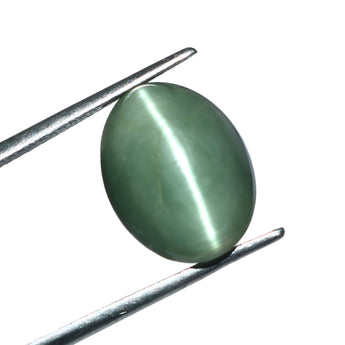 World of Oorja Cats Eye Lehsunia 8.82 Carat 9.61 Ratti gemstone for protection