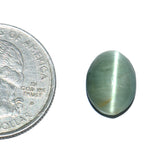 Vedic astrology Lehsunia gemstone for Ketu dosha 